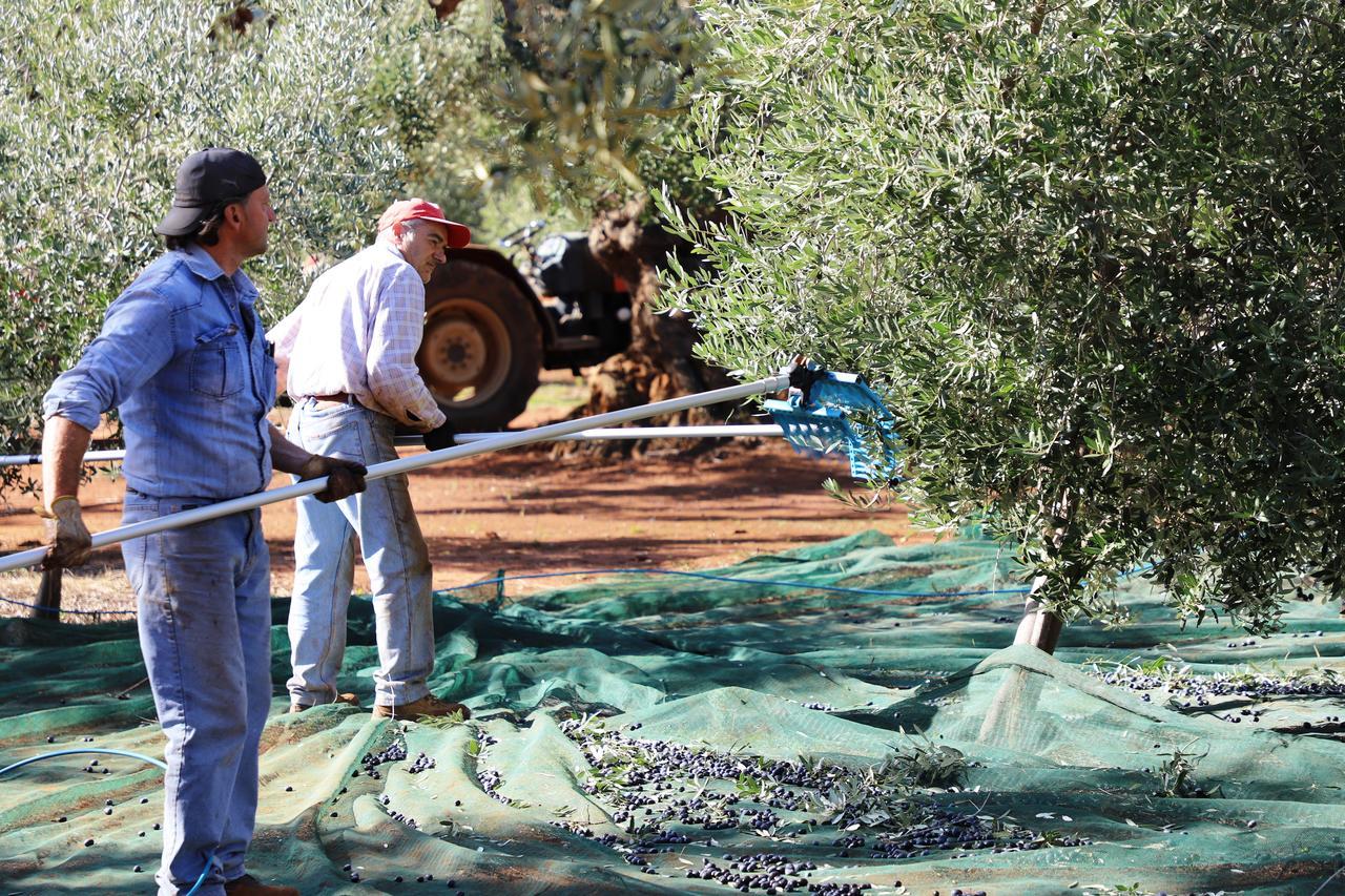 Masseria Lama Di Galizia Ostuni Exteriör bild